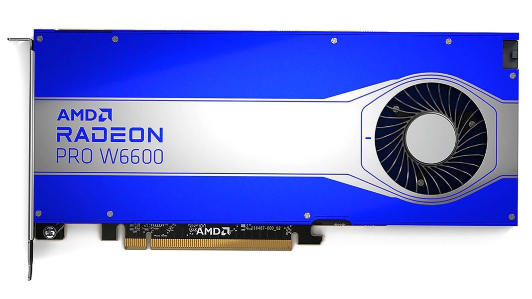 AMD RADEON PRO W6600X 1